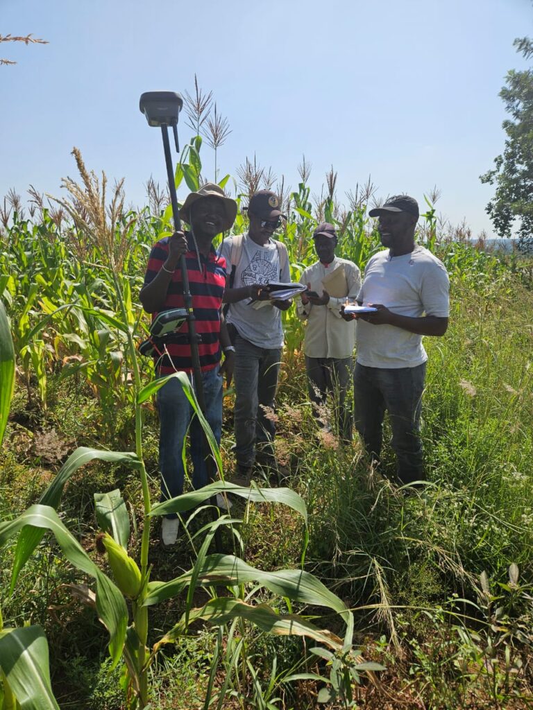 WhatsApp Image 2024-10-09 at 3.41.54 PM